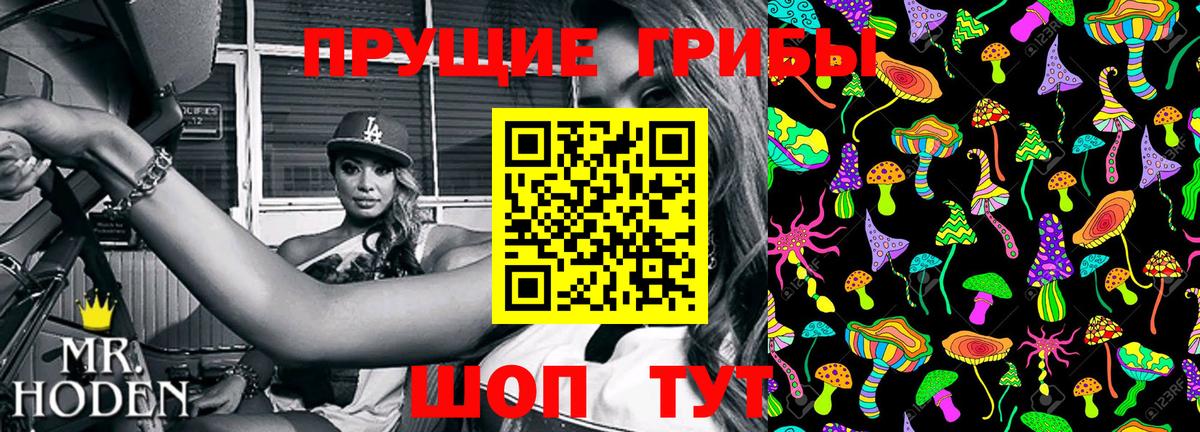 Галлюциногенные грибы Psilocybe Хабаровск